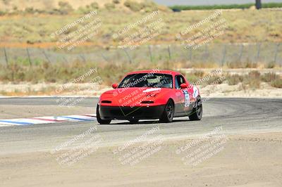 media/Jul-27-2024-Speed Ventures (Sat) [[14cea0cda4]]/Purple/Cotton Corners 1250pm/